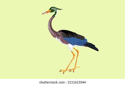 Colored heron isolated vector illustration