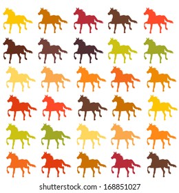 colored horse
