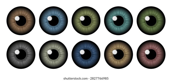 Colored human iris collection showing brown blue green and hazel eye patterns. Collection of ten detailed human iris designs displaying varied brown, blue, green, gray, hazel and pinkish eye colors.