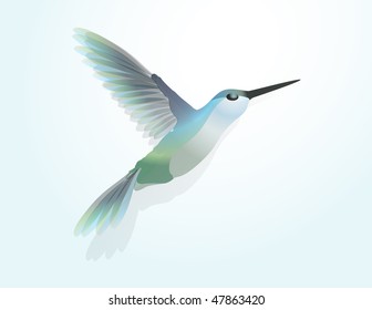 Colored hummingbird