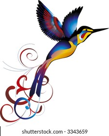 colored humming-bird  - vector