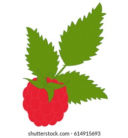 colored icon branch of raspberry with leaf on white background. template for decoration and decor. template for scrapbook or decoupage. vector illustration