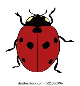 colored icon ladybug on a white background. vector illustration