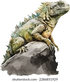 Colored Iguana Vector, Print, Illustration