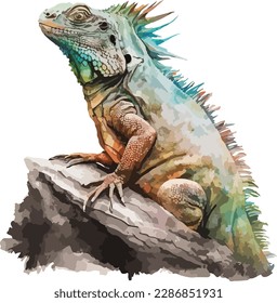 Colored Iguana Vector, Print, Illustration