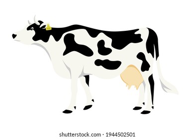 Colored illustration of a cow with a tag on the ear. Livestock smart farm. Suitable for use in infographics, article design, promotional materials, presentations. Color vector simple illustration. 