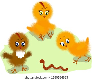 Colored illustration with fluffy chickens.Set of cute fluffy chickens in color vector illustration.