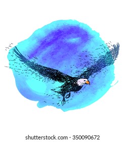 Colored illustration of a flying eagle