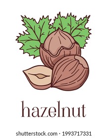 colored illustration with hazelnut in cartoon style
