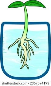 Colored illustration icon of a young plant shoot sprout in a glass pot filled with water with visible roots