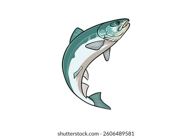 colored illustration of jumping salmon