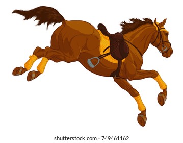 Colored illustration of a jumping Tersk horse. Design element of equestrian goods. Image of a red stallion in a snaffle bridle with Mexican noseband. Vector steed in sport English saddle.