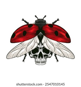 colored illustration of ladybug and skull