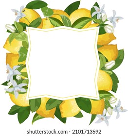 Colored illustration with lemon decor.Branches of lemons in the decor frame on a transparent background in color vector illustration.