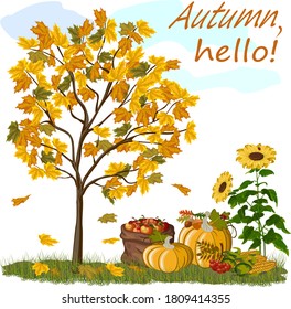 Colored illustration on the theme of autumn.Autumn tree, sunflowers, vegetables and fruits in color illustration.