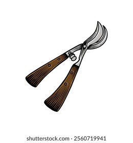 colored illustration of Pruning shears with a vintage look