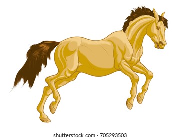 Colored illustration of a running horse on a white background. Wild galloping Buckskin mare with fluttering mane and ears laid back. Vector clip art and design element for equestrian club.