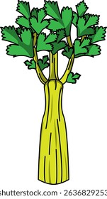 Colored Illustration of Whole Celery