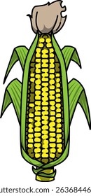 Colored Illustration of Whole Corn