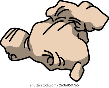 Colored Illustration of Whole Ginger