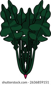Colored Illustration of Whole Spinach