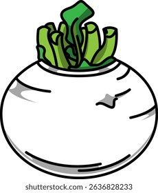 Colored Illustration of Whole Turnip