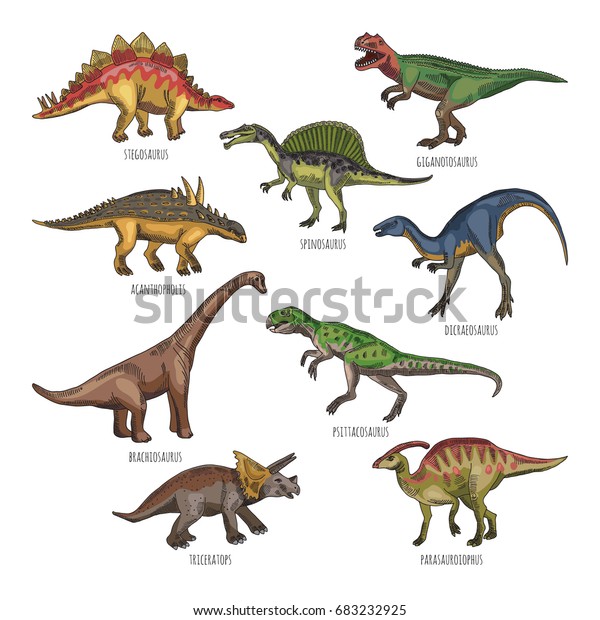 さまざまな恐竜の種類の色付きイラスト ティラノサウルス レックス ステゴサウルス 歴史的恐竜のキャラクターディクレオサウルスとスピノサウルスのイラスト のベクター画像素材 ロイヤリティフリー
