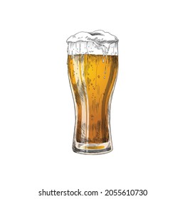 Colored image of beer in tall glass in vintage engraving style, vector illustration isolated on white background. Glass of beer for Octoberfest and brewery.