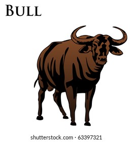 colored indian bull vector illustration