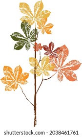 Colored ink print of a fallen autumn leaf. Watercolor leaf. Branch with leaves. Illustration for patterns, packaging, clothing. For furniture, wallpaper and fabrics.