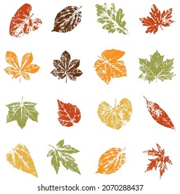 Colored ink print of a fallen autumn leaf. Watercolor leaf. Branch with leaves. Illustration for patterns, packaging, clothing. For furniture, wallpaper and fabrics.