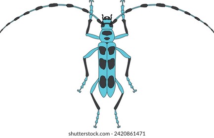 Colored insect single item icon Blue-winged longhorned beetle