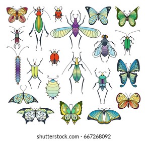 Colored insects isolate on white. Bugs and butterflies vector pictures set