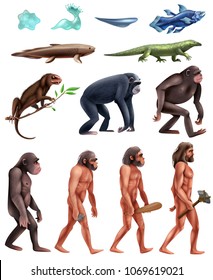 Colored And Isolated Darwin Evolution Icon Set With Transition From Era To Era Vector Illustration