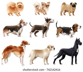 Colored and isolated dog breeds icon set with different sizes and breeds of dogs vector illustration
