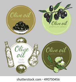Colored and isolated hand drawn olive oil label set in circles with texts vector illustration
