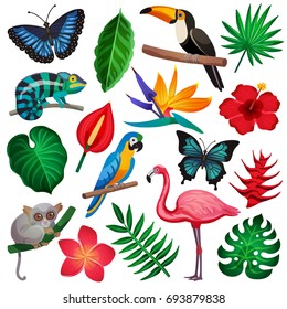 Colored and isolated tropical exotic icon set with representatives of flora and fauna vector illustration