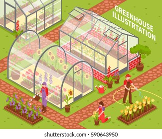 Colored isometric greenhouse composition with growing flowers in hotbeds and flower care vector illustration
