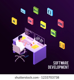 Colored isometric programmers composition with software development description and man sit on work vector illustration