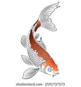 colored japanese Koi Kohaku fish vector design