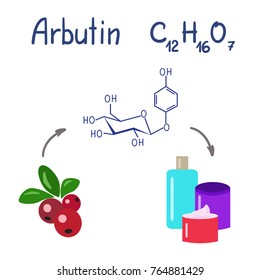 Colored jars and bottles of cream with the arbutin. The berries of bearberry and cowberry. Chemical formula and graphical scheme of arbutin. Vector isolated svg