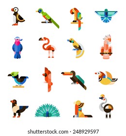 Colored jungle wild forest exotic birds icons set isolated vector illustration