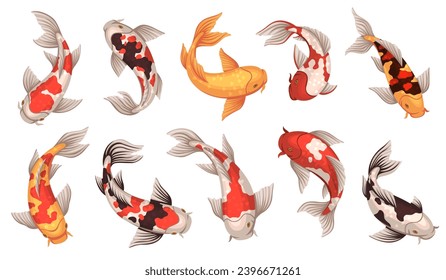 Colored koi fish. Japanese carps, spotted underwater oriental creatures, traditional inhabitants of decorative chinese ponds, asian goldfish swimming in lake, lucky symbol, tidy vector set