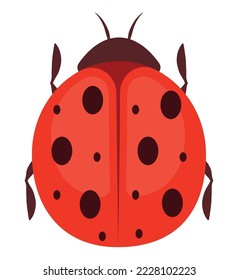 colored ladybug design over white