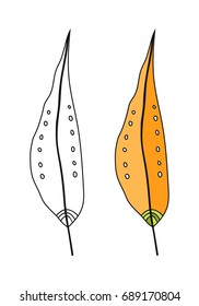 Colored leaf, black and white illustration for coloring book