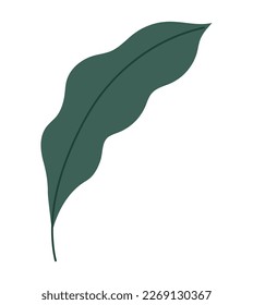 colored leaf design over white