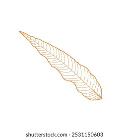 Colored leaf line art, vector illustration. 