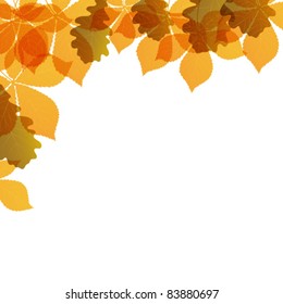 colored leaves background