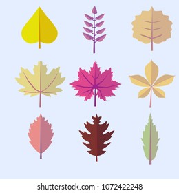 colored leaves isolated on a light blue background