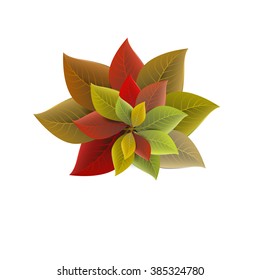 colored leaves isolated on white background, vector illustration